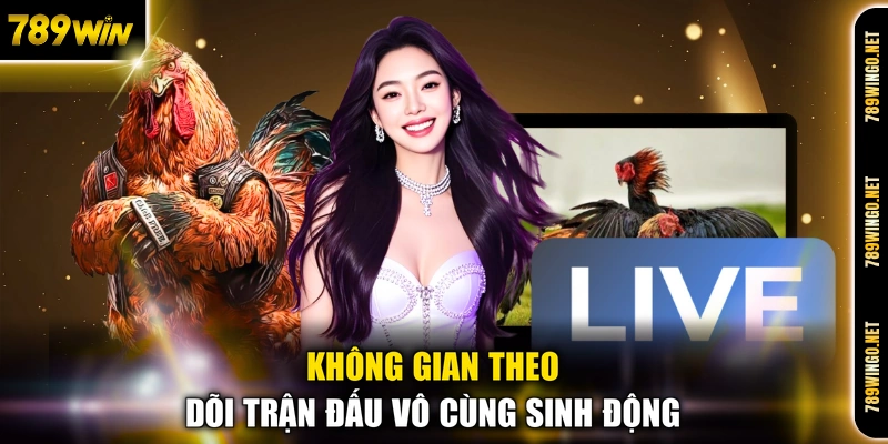 Không gian theo dõi trận đấu vô cùng sinh động